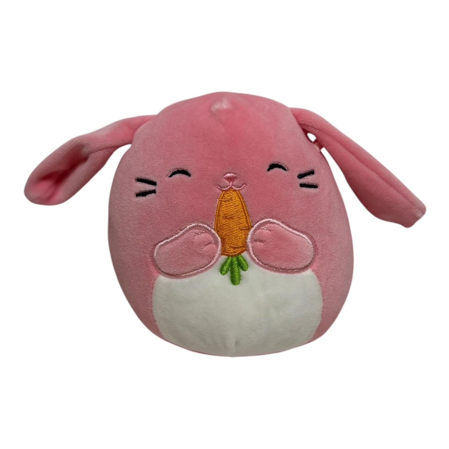 Toutou - Latin - SquishMallows