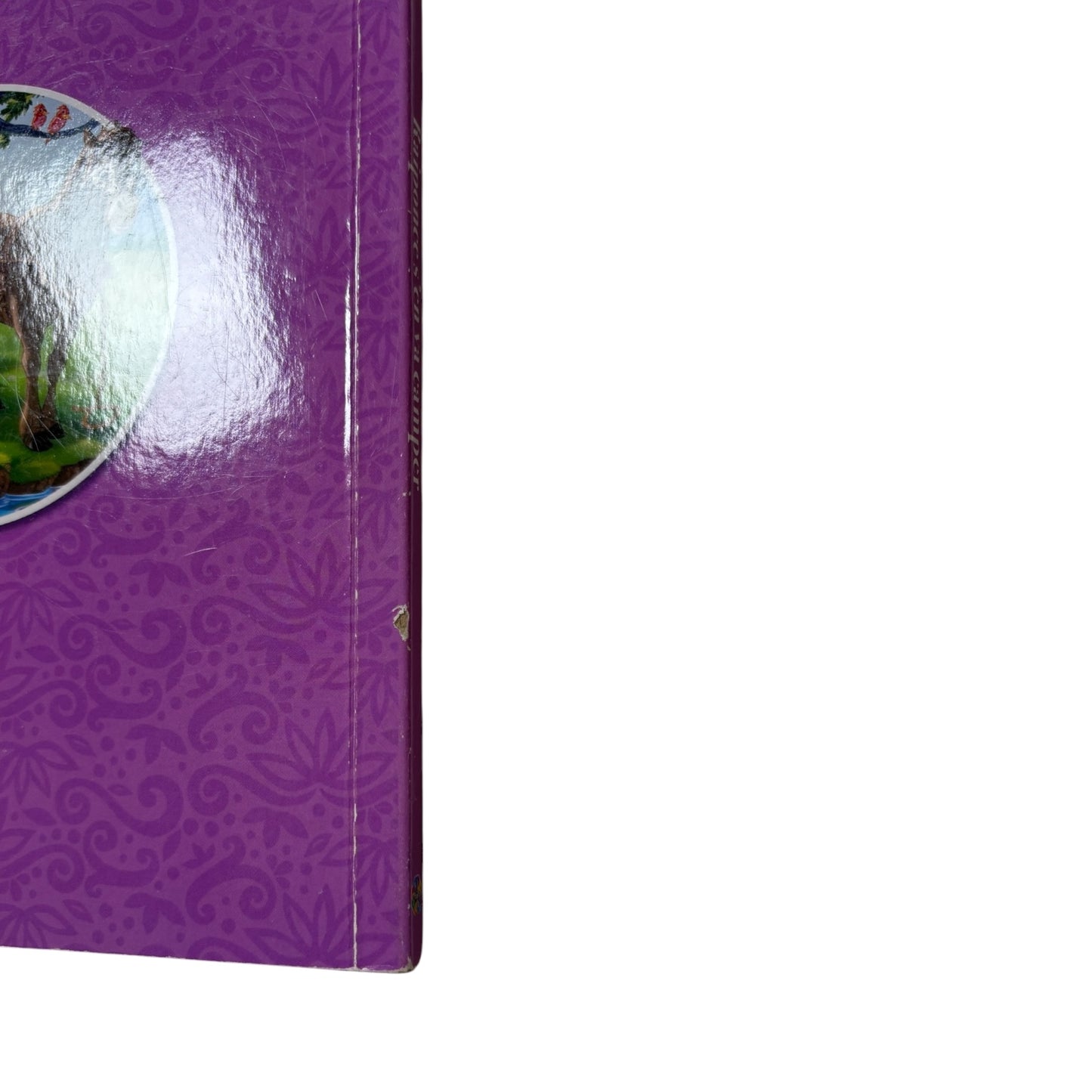 Livre - Raiponce s'en va camper - Disney