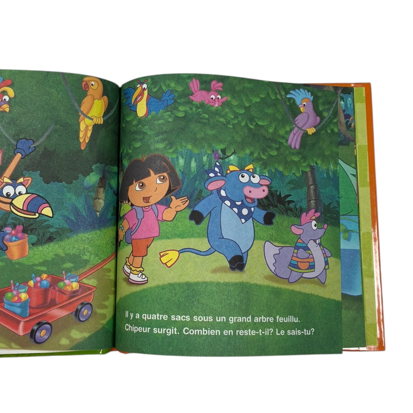 Livre - L'anniversaire de babouche - Dora