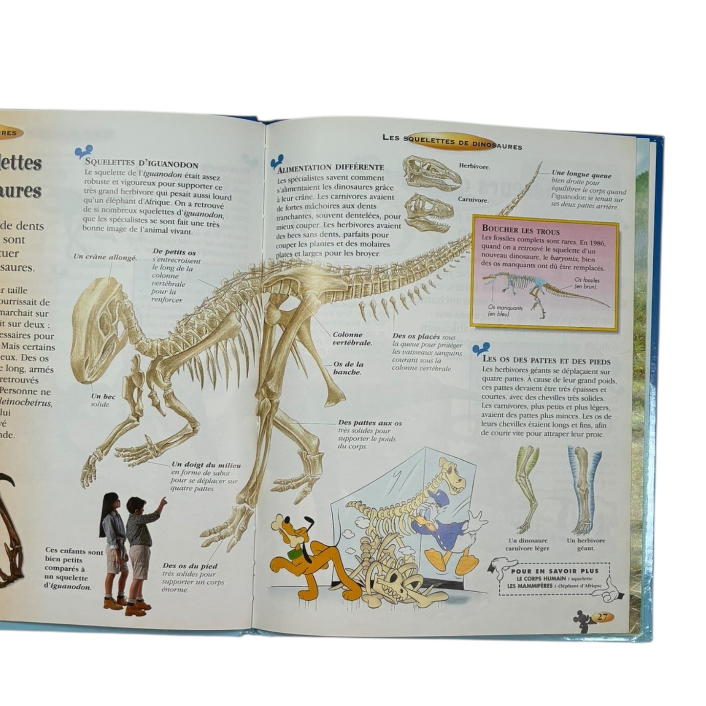 Livre - Les Dinosaures - Disney