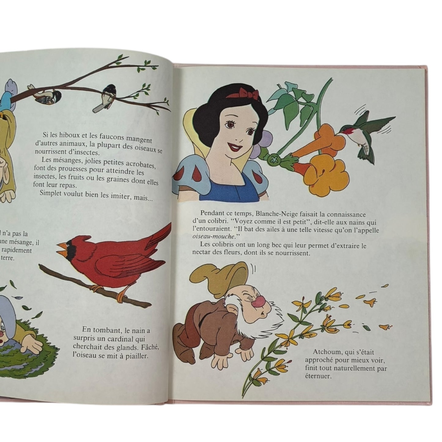 Livre - La nature - Disney *1983