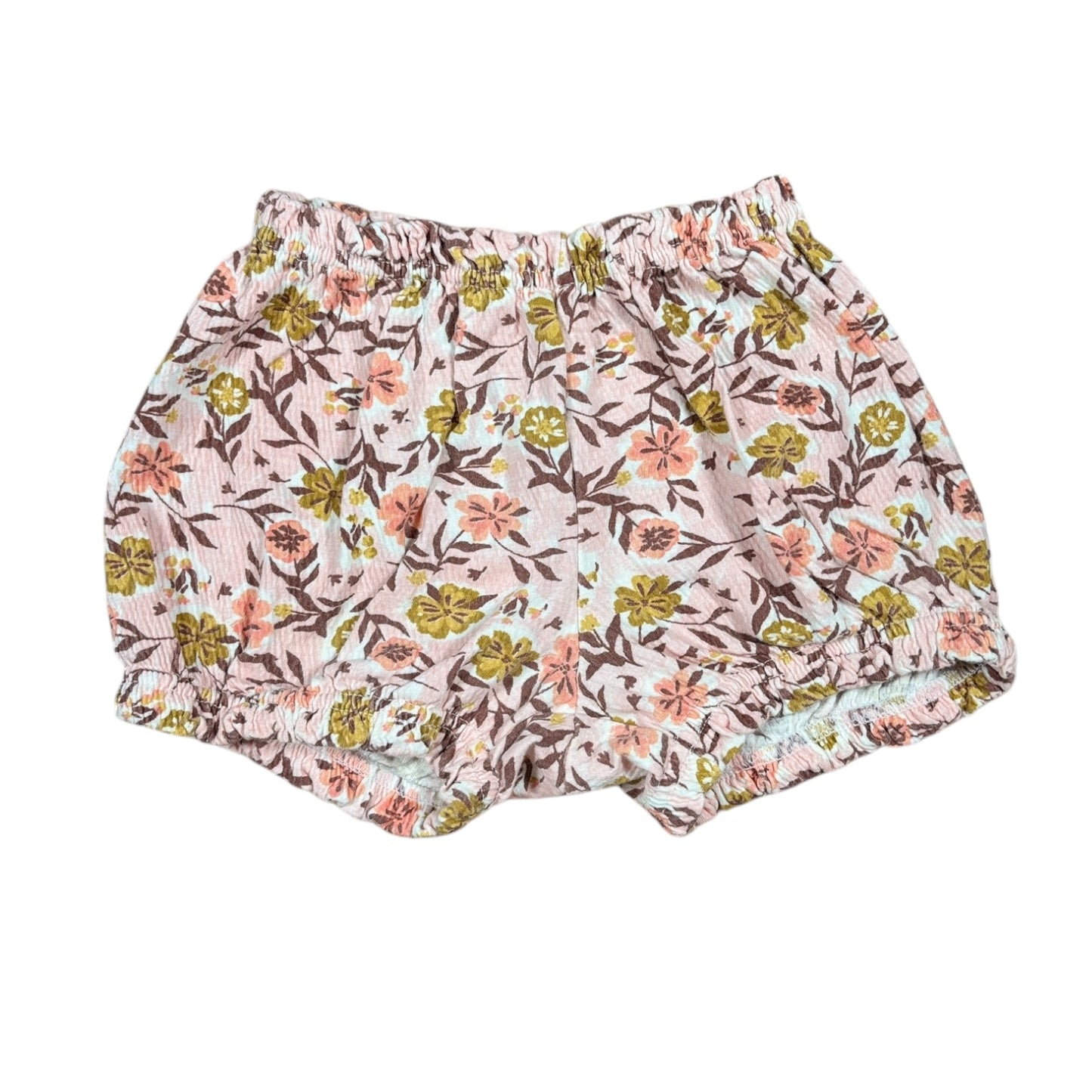 Short - 12 mois - IslandTrotters