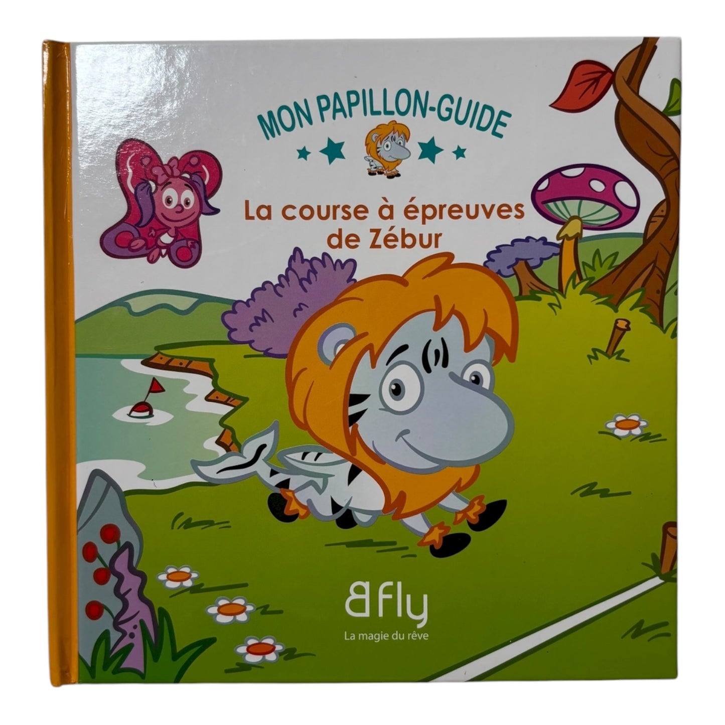Livre - La course à épreuves des Zébur - Bfly