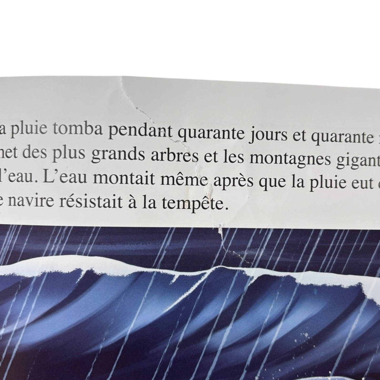 Livre - l'arche de Noé