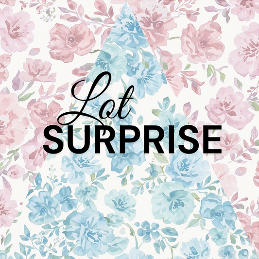 🥣 Mini Scoop - Lot Surprise 🛍️