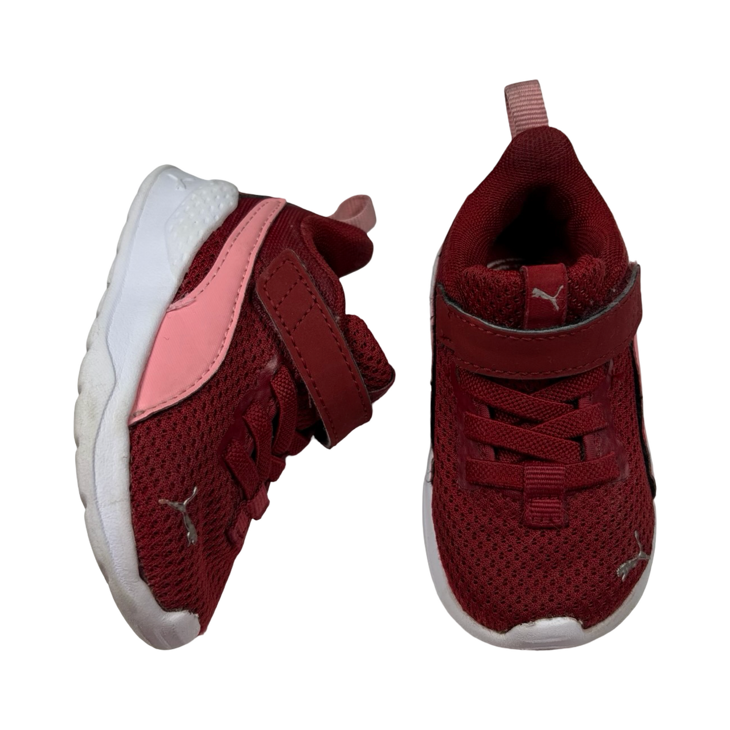 Pumas | 5C
