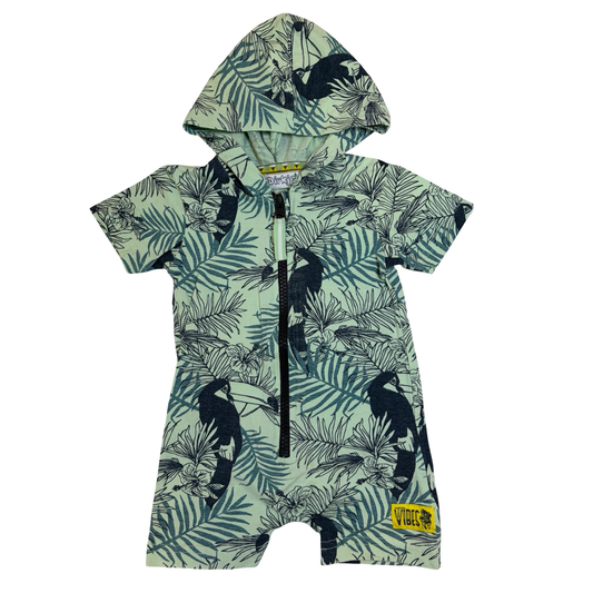 Dirkje | 6 mois