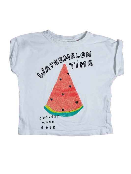 Zara | 12-18M