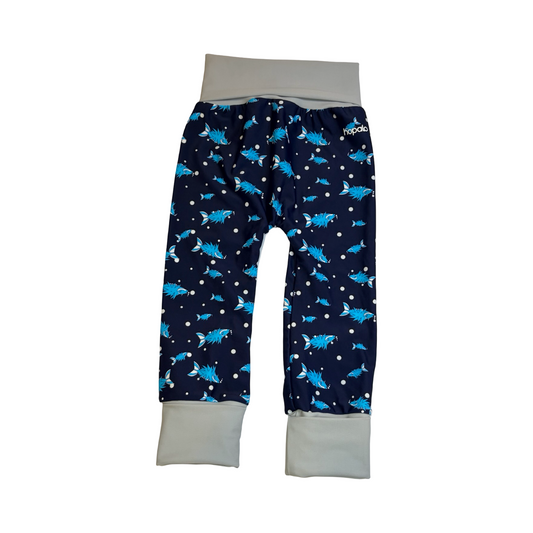 Hopalo | 12-36 mois
