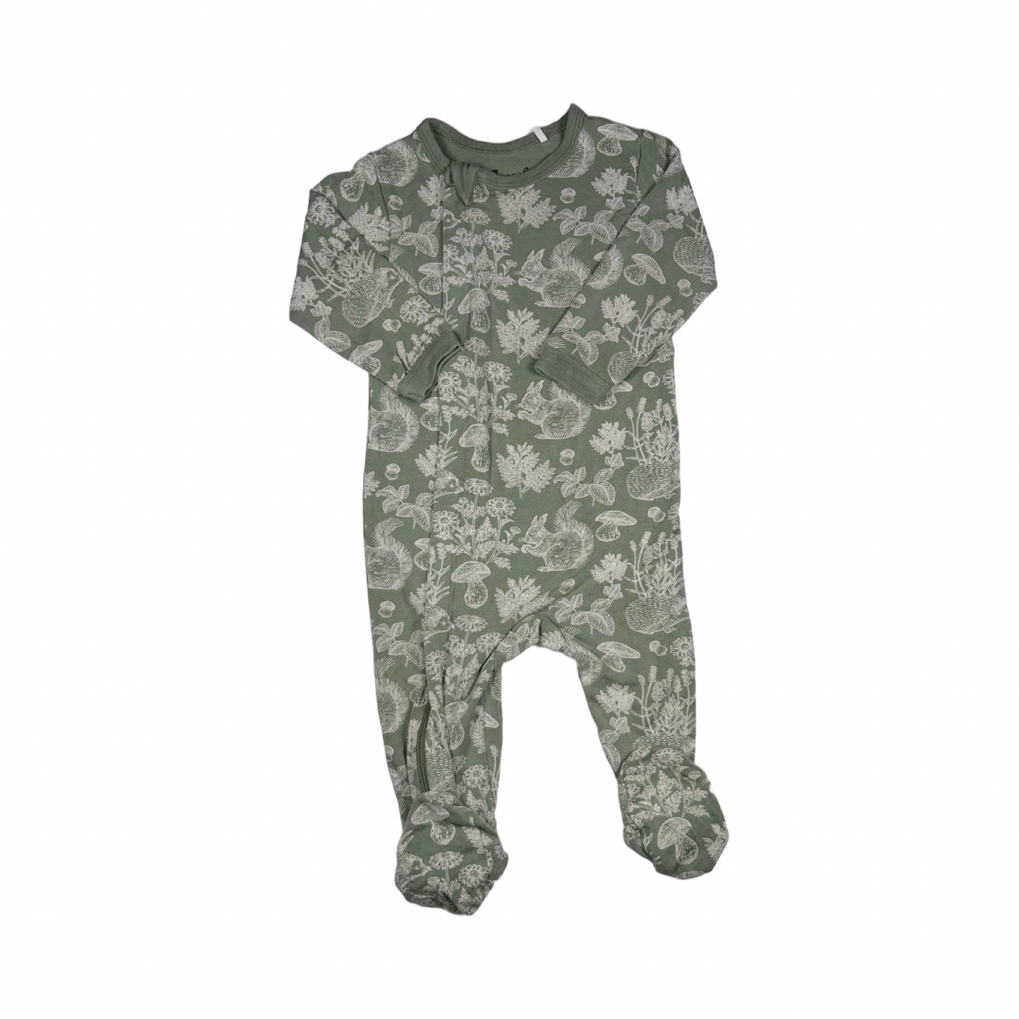Coccoli | 9 mois