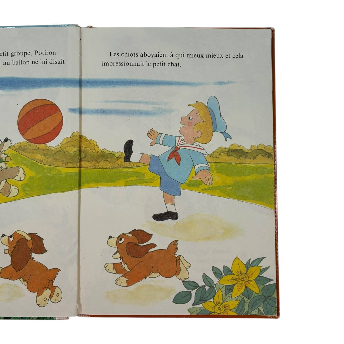 Livre - Les mésaventures de Potiron - Disney *1988 *Aimé