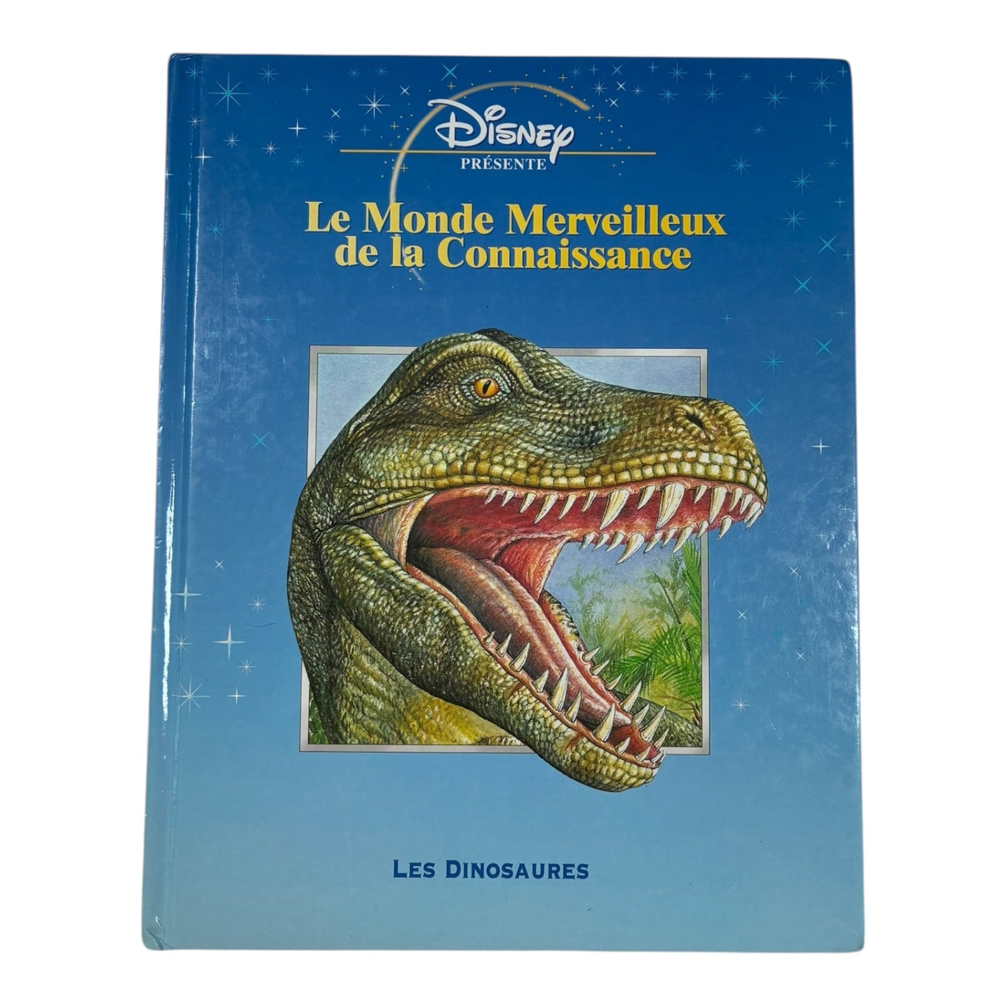 Livre - Les Dinosaures - Disney