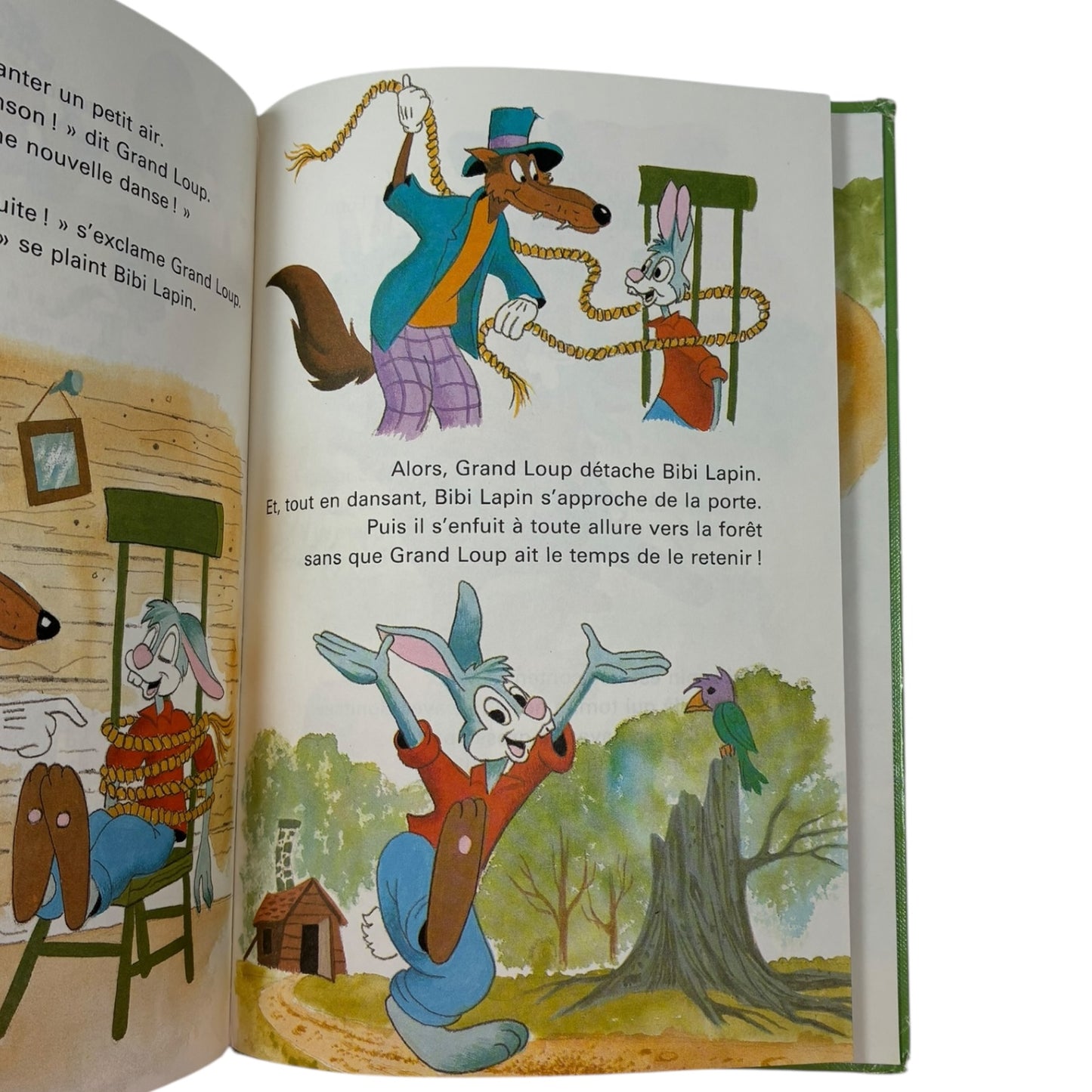 Livre - Bibi lapin et ses amis - Disney *1988