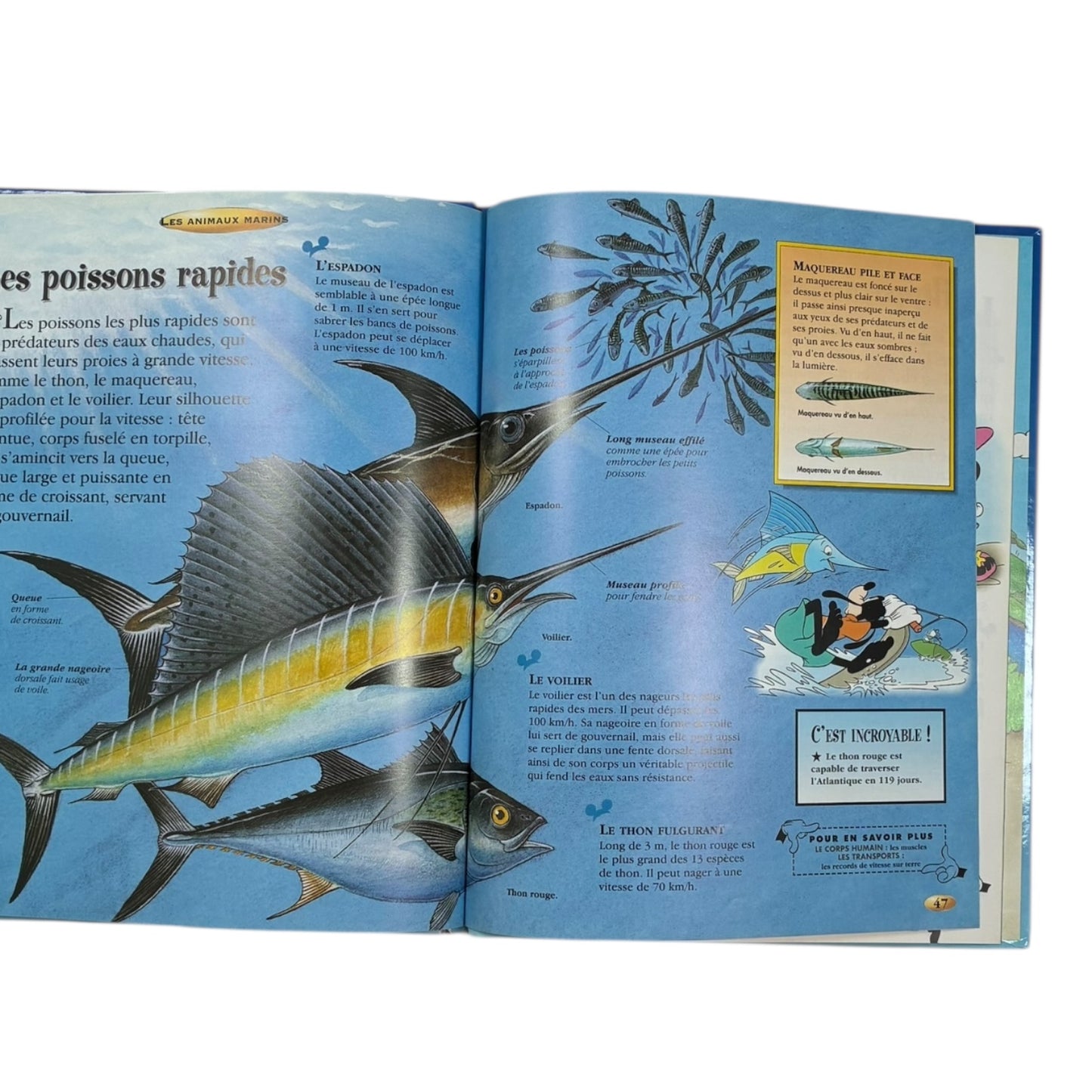 Livre - Les animaux marins - Disney *Aimé