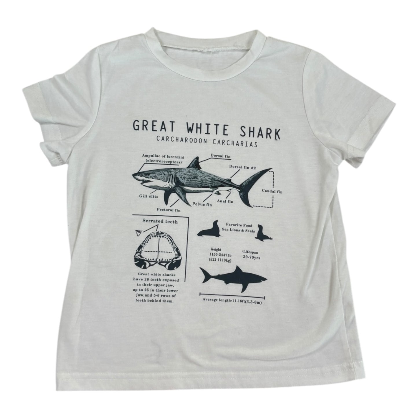 Chandail - 2-4T - inconnu