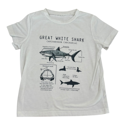 Chandail - 2-4T - inconnu